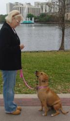 Training Nnyus at Eola Park in Orlando, FL